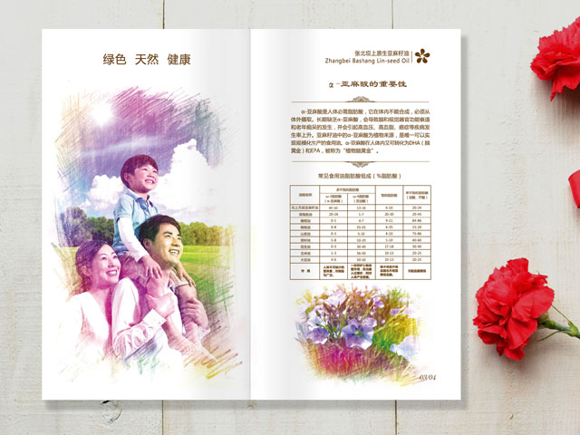 亞麻籽油 宣傳畫冊(cè)設(shè)計(jì)