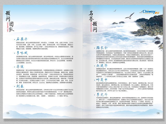 智元集團 宣傳冊設計